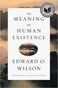 The Meaning Of Human Existence