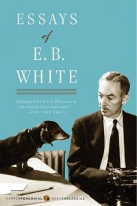 Essays Of E.B. White